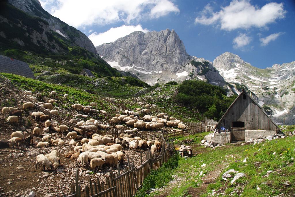 Žabljak 普拉尼纳尔斯基多姆耐维登欧旅馆酒店 外观 照片