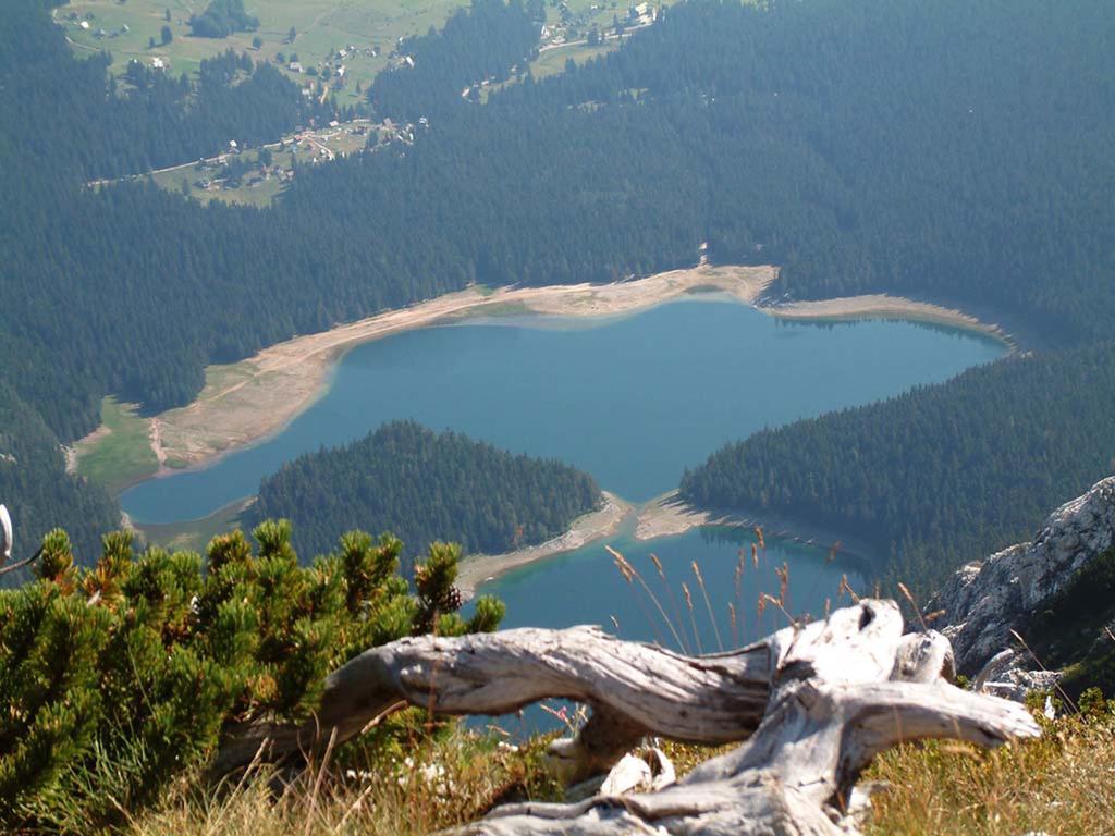 Žabljak 普拉尼纳尔斯基多姆耐维登欧旅馆酒店 外观 照片
