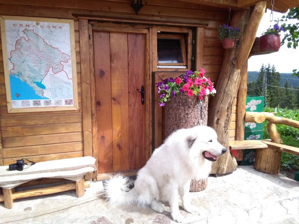 Žabljak 普拉尼纳尔斯基多姆耐维登欧旅馆酒店 外观 照片