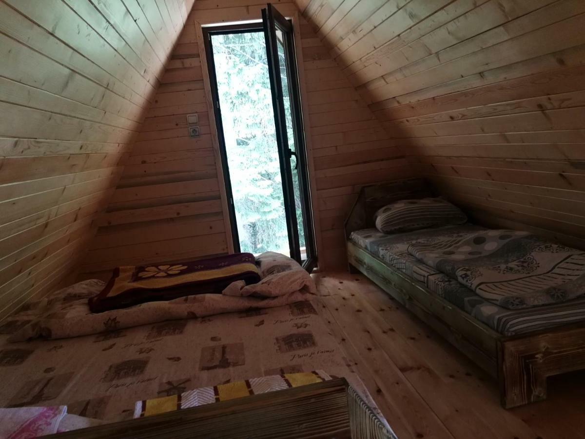 Žabljak 普拉尼纳尔斯基多姆耐维登欧旅馆酒店 外观 照片