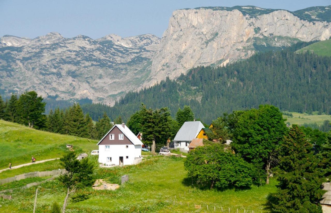 Žabljak 普拉尼纳尔斯基多姆耐维登欧旅馆酒店 外观 照片